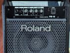 Roland PM-10