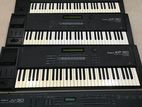 Roland XP 50