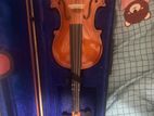 Roleena Violin