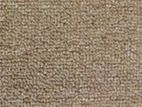 Roll carpet
