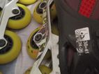 Roller Skates