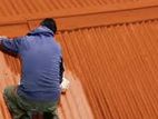 Roof Painting Steel or Clay