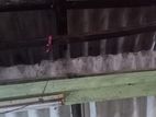 Roof sheets