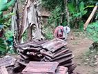 Roof Tiles (වහල උළු)