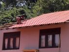 Roofing Construction and Renovation