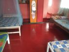 Room for Rent in Negombo - (Boy)