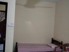 Room for Office working Girl Battaramulla
