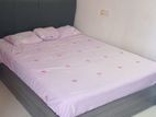 Room for Rent a Female Colombo 5