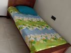 Room for Rent A Girl in Battaramulla