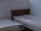 Room for Rent Dehiwela (Ladies)
