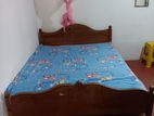 Room for Rent Girls in Kottawa