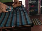 Room for Rent (Girls) Maharagama