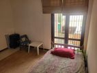 Room for Rent in Halpita Polgasowita