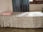 Room for Rent in Kadawatha ( Girls only )