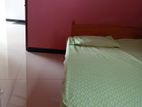Room for Rent in Kelaniya