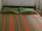 Room for Rent in Kotte (girls Only)