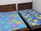 Room for Rent in Mount Lavinia