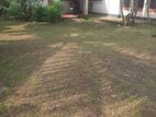 Room for Rent in Mount Lavinia