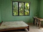Room for rent in mount lavinia