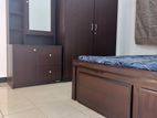 Room for Rent in Maradana