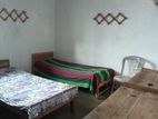 Room for Rent in Obeysekarapura, Rajagiriya Girls only