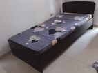 Room for Rent (Ladies) Dehiwala