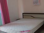 Room for Rent Ladies Dehiwala