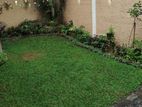 Room for Rent Makumbura
