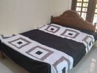 Room For Rent Matara