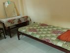 Room For Rent Mount Lavinia