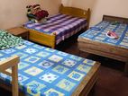 Room For Rent Mount Lavinia (Girls Only)