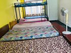 Room for Rent Pelawatta - Girls