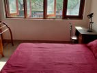 Room for Rent with Attached Bathroom Female Negombo