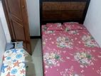 Room Rent in Colombo 6