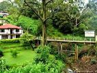 Rooms/ Bungalow Near Nuwara Eliya City