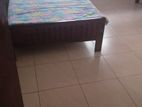 Rooms for Girls Pelewatta