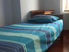 Rooms for Rent Female Professionals Uni Students Kohuwala