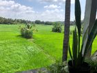 Rooms for rent in Anuradhapura