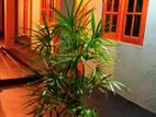 ROOMS FOR RENT IN KADAWATHA