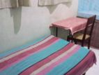 Rooms For Rent Ladies Ekala