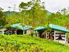 Rooms in (Agroya) Hatton For Short Term Rent
