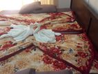 Rooms in Nuwara eliya