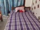 Room Rent in Ratmalana
