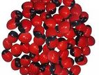 Rosary Pea Seeds