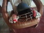 Cricket Set