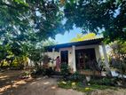 (RS487) Single Storey House for Sale in Panadura
