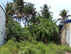 රත්මලාන ඊබට් පටුමග Land for Sale