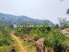 ⛰️ රත්නපුර – ඇළ පාරට මායිම් අක්කර 2.5, ලක්ෂ 28 යි 🌊