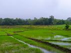 රත්නපුර ඇඹිලිපිටියේ වටිනා ඉඩම්