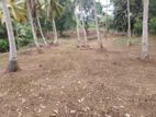 රත්නපුර නගරයට 2km - අනගි ඉඩමක් විකිණීමට